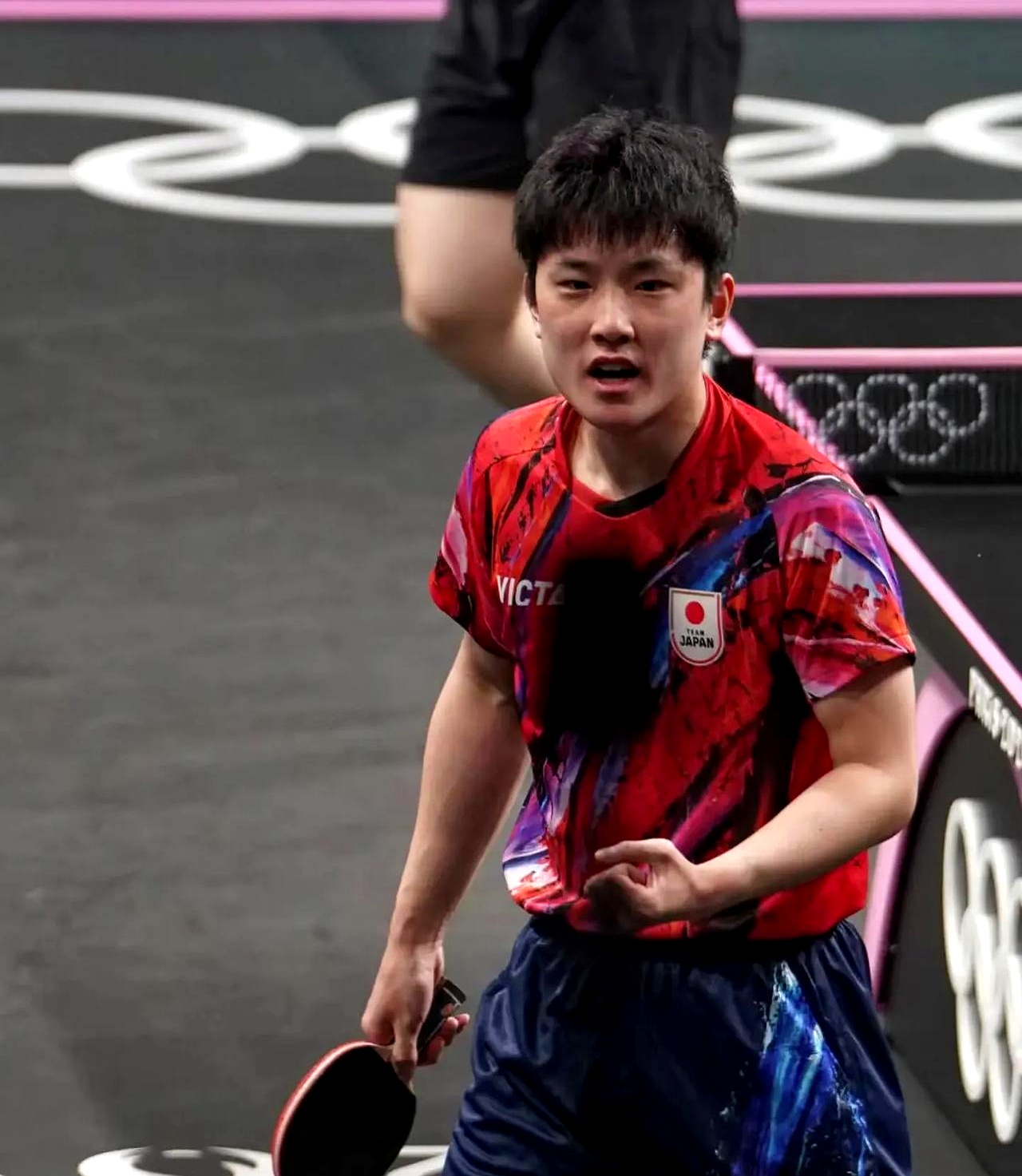 奥地利队翻盘葡萄牙队，张本智和惊艳四座