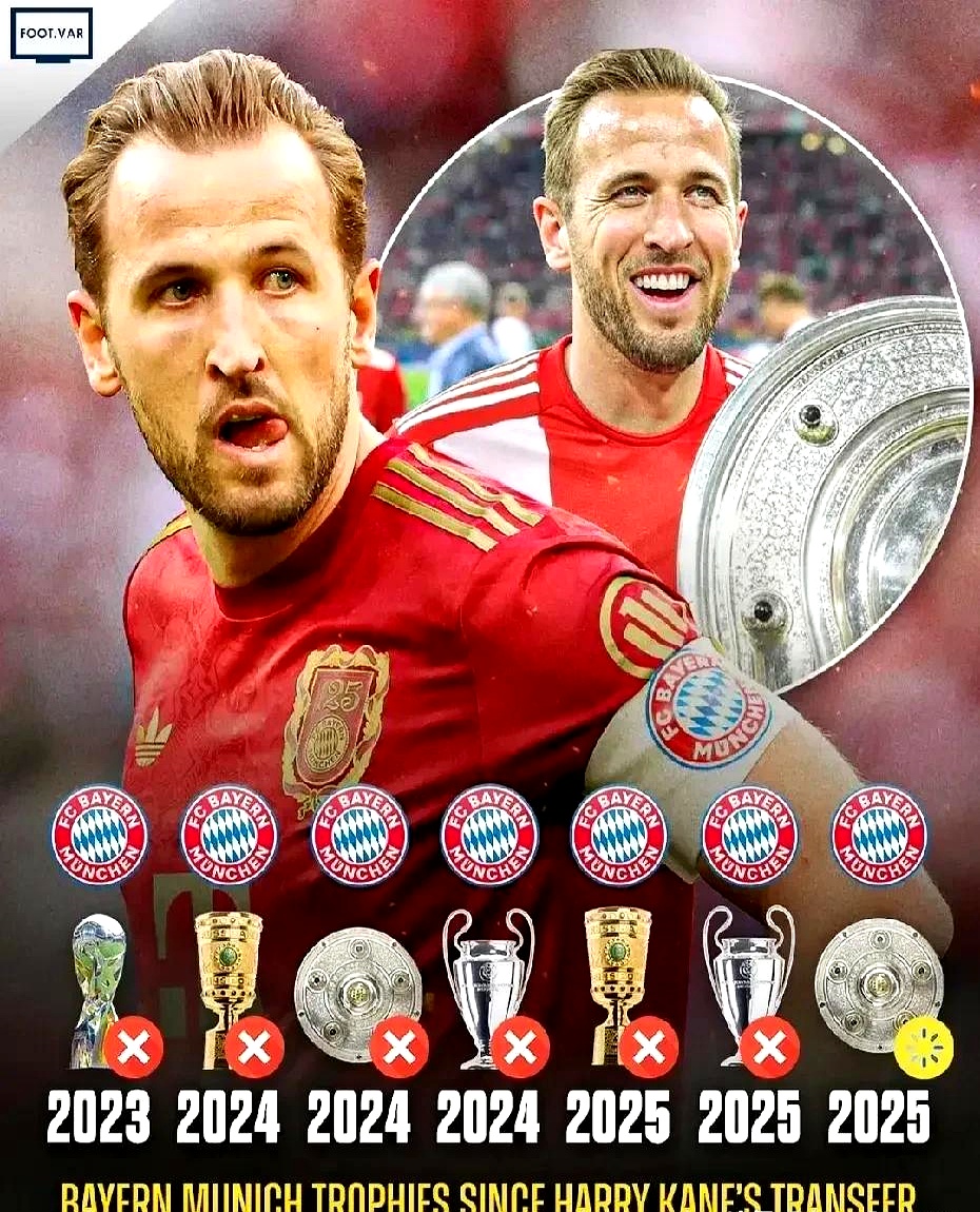 拜仁绝杀荷兰,凯恩刷新纪录 拜仁绝杀荷兰,凯恩刷新纪录