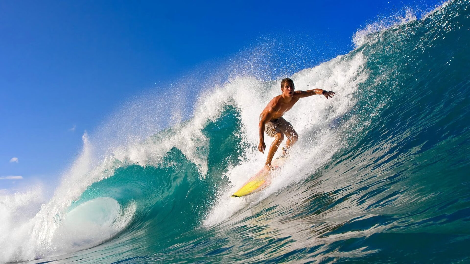 独步天下，哈利伯顿的无解进攻与开拓者决胜时刻，浙江队的遗憾终局